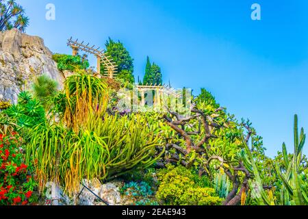 Jardin Exotique in Monaco Stockfoto