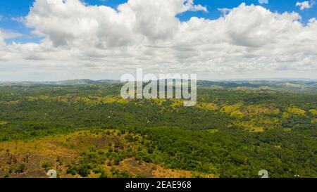 Sommerlandschaft mit Hügeln bedeckt mit grüner Vegetation und Bergen auf der Insel Bohol, Philippinen. Stockfoto