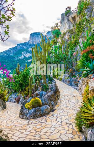 Jardin Exotique in Monaco Stockfoto