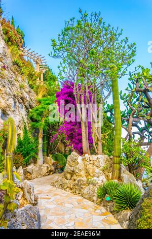 Jardin Exotique in Monaco Stockfoto