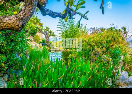 Jardin Exotique in Monaco Stockfoto