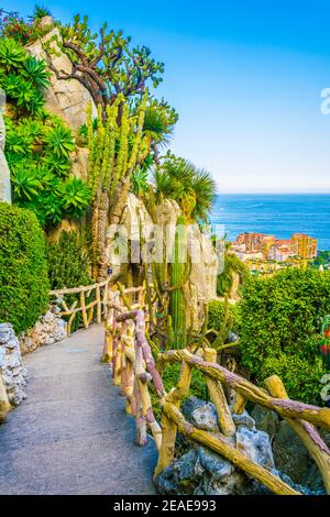 Jardin Exotique in Monaco Stockfoto