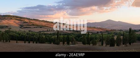 Typische toskanische Landschaft im Sommer bei Sonnenuntergang, mit kultivierten Feldern und Weingärten, Zypressen und alten Bauernhäusern in einem Hügel und Tal Stockfoto