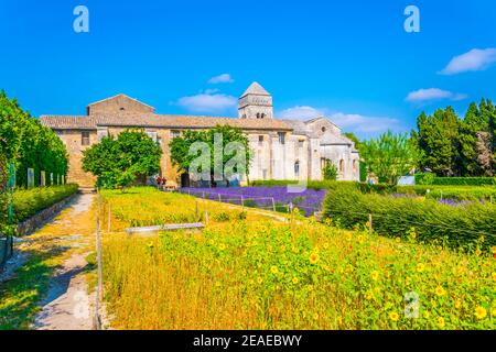 Lavendelfeld im Kloster Saint Paul de Mausole In Frankreich Stockfoto