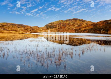 Beacon Tarn in den Blawith Fells in der Nähe von Coniston, Lake District, England Stockfoto