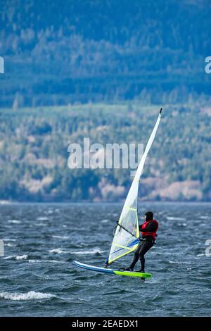 SIDNEY, KANADA - 07. Februar 2021: Windsrufing, Patricia Bay, North Saanich, Vancouver Island, BC Kanada Stockfoto