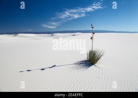 Wandern in der Wüstenlandschaft der Gipsdünen im White Sands National Monument in New Mexico, USA. Stockfoto