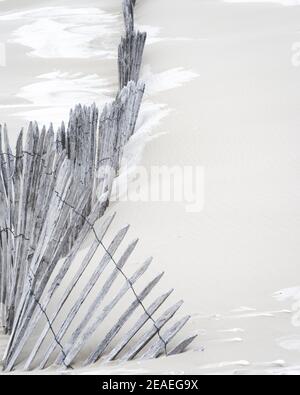 Frostige Sanddünen am Strand von Kijkduin, Niederlande. Stockfoto
