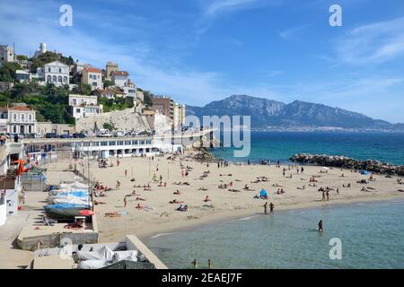 Strand Plage du Prophète, Küstenviertel von Roucas-Blanc, direkt am Meer und am Ufer der Corniche Kennedy Marseille Provence Frankreich Stockfoto