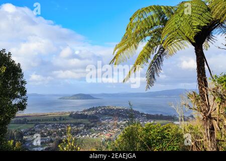 Ansicht von Rotorua, Neuseeland, vom Mount Ngongotaha. Im Vordergrund sind die Vororte Fairy Springs und Kawaha Point, mit Lake Rotorua dahinter Stockfoto