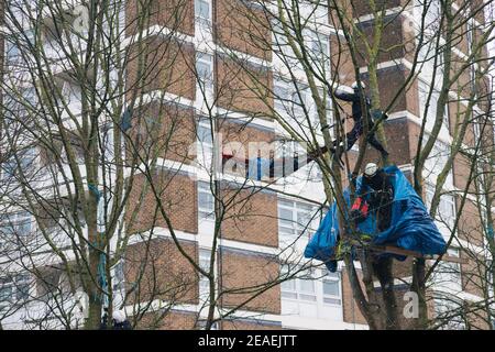 London, Großbritannien. Februar 2021, 9th. Highbury Corner ' Save the Trees' Schutzgruppe wird aus dem Schutzlager an der Canonbury Road, London, Großbritannien, vertrieben. Februar 2021, 9th. Aktivisten leben seit Monaten im Lager, um sieben reife Bäume vor Zerstörung zu schützen. Der rat sagt, dass auf dem Gelände 25 neue wohnhäuser gebaut werden, neben 14 privaten Wohnungen. Die Demonstranten sagen, dass es wenige Grünflächen in der Gegend gibt. Hier versuchen Gerichtsvollzieher, eine provisorische Hängematte und Baumhaus zu entfernen. Kredit: Denise Laura Baker/Alamy Live Nachrichten Stockfoto