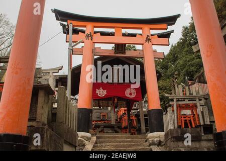 Rote Torii-Tore im Fushimi Inari Taisha-Schrein in Kyoto, Japan Stockfoto