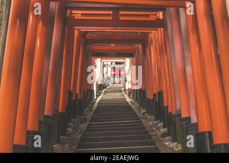 Rote Torii-Tore im Fushimi Inari Taisha-Schrein in Kyoto, Japan Stockfoto