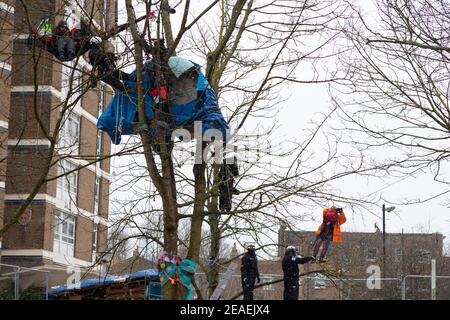 London, Großbritannien. Februar 2021, 9th. Highbury Corner ' Save the Trees' Schutzgruppe wird aus dem Schutzlager Canonbury Road, London, Großbritannien, 9th. Februar 2021 vertrieben. Aktivisten leben seit Monaten im Lager, um sieben reife Bäume vor Zerstörung zu schützen. Der rat sagt, dass auf dem Gelände 25 neue wohnhäuser gebaut werden, neben 14 privaten Wohnungen. Die Demonstranten sagen, dass es wenige Grünflächen in der Gegend gibt. Kredit: Denise Laura Baker/Alamy Live Nachrichten Stockfoto