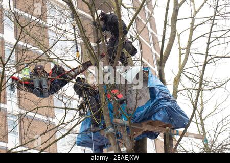 London, Großbritannien. Highbury Corner ' Save the Trees' Schutzgruppe wird aus dem Schutzlager an der Canonbury Road, London, Großbritannien, vertrieben. Februar 2021, 9th. Aktivisten leben seit Monaten im Lager, um sieben reife Bäume vor Zerstörung zu schützen. Der rat sagt, dass auf dem Gelände 25 neue wohnhäuser gebaut werden, neben 14 privaten Wohnungen. Die Demonstranten sagen, dass es wenige Grünflächen in der Gegend gibt. Kredit: Denise Laura Baker/Alamy Live Nachrichten Stockfoto