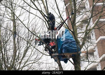 London, Großbritannien. Februar 2021, 9th. Highbury Corner ' Save the Trees' Schutzgruppe wird aus dem Schutzlager an der Canonbury Road, London, Großbritannien, vertrieben. Februar 2021, 9th. Aktivisten leben seit Monaten im Lager, um sieben reife Bäume vor Zerstörung zu schützen. Der rat sagt, dass auf dem Gelände 25 neue wohnhäuser gebaut werden, neben 14 privaten Wohnungen. Die Demonstranten sagen, dass es wenige Grünflächen in der Gegend gibt. Kredit: Denise Laura Baker/Alamy Live Nachrichten Stockfoto