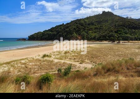 Der Sand des malerischen Kuaotunu Beach auf der Coromandel Peninsula, Neuseeland, mit Blick auf Black Jack Hill Stockfoto