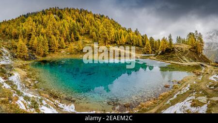 Magisch blauer Lac Bleu mit gelben Lärchen im Herbst bei Arolla, Val d'Herens Stockfoto