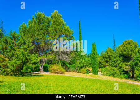 Blick auf einen Garten in Oppede la Vieux, Frankreich Stockfoto