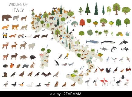 Flaches Design von Italien Tierwelt. Tiere, Vögel und Pflanzen Konstruktor Elemente isoliert auf weißem Set. Erstellen Sie Ihre eigene Geographie Infografiken Sammlung. Stock Vektor