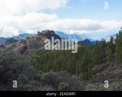 Landschaftlich reizvolle Aussicht auf die herrliche Landschaft im Roque Nublo Park Inland Zentralgebirge von berühmten Gran Canaria Wanderweg mit Grüne Pinien und Stockfoto