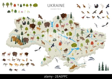Isometrische 3D Design der Ukraina Wildtiere. Tiere, Vögel und Pflanzen Konstruktor Elemente isoliert auf weißem Set. Erstellen Sie Ihre eigene Geographie Infografiken c Stock Vektor