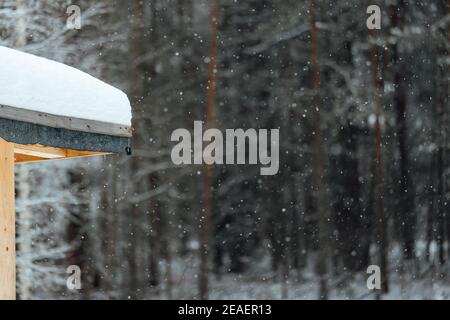 Der Hintergrund eines Winterwaldes, eine Landschaft von Tannen mit weißem Schnee, eine leere Straße zwischen tiefen Schneeverwehungen in einem Schneesturm Stockfoto