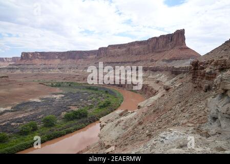 Green River im Canyonlands National Park, Utah, USA Stockfoto