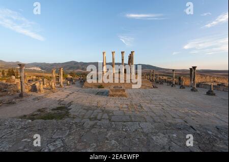 Der Kapitolinische Tempel in Volubilis, Marokko. Stockfoto