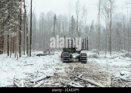 Illegaler Holzeinschlag, Holzernte für die verarbeitende Industrie, Transport beladen mit gefällten Baumstämmen, Holztransport im Winter Stockfoto