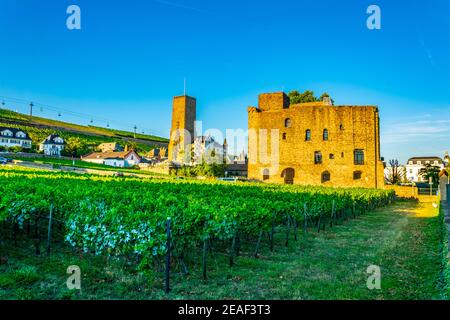 Rheingauer Weinmuseum in Rüdesheim am Rhein in Deutschland Stockfoto