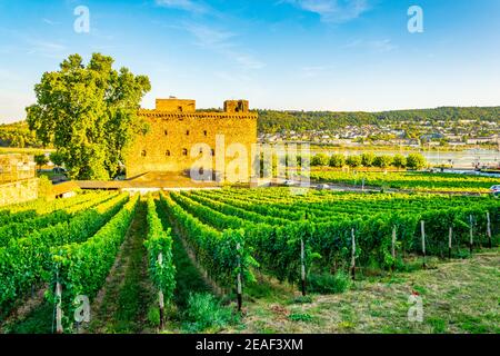 Rheingauer Weinmuseum in Rüdesheim am Rhein in Deutschland Stockfoto