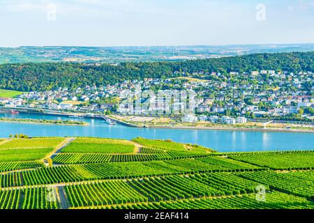 Luftaufnahme von Bingen am Rhein in Deutschland Stockfoto