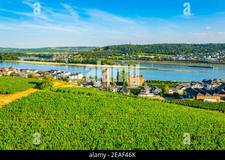 Luftaufnahme von Rüdesheim am Rhein in Deutschland Stockfoto