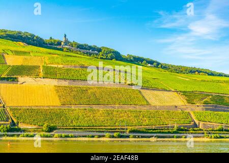 Niederwalddenkmal bei Rüdesheim am Rhein in Deutschland Stockfoto