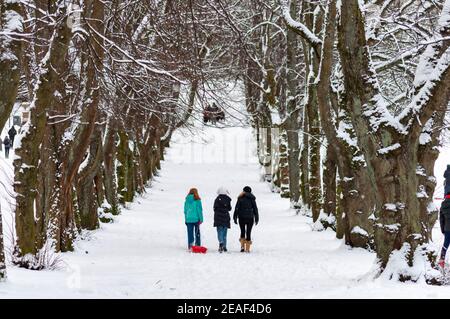 Glasgow, Schottland, Großbritannien. 9th. Februar 2021. UK Wetter: Drei Menschen, die nach heftigem Schneefall vom Sturm Darcy auf einem von Bäumen gesäumten Pfad im Queen's Park wandern. Kredit: Skully/Alamy Live Nachrichten Stockfoto