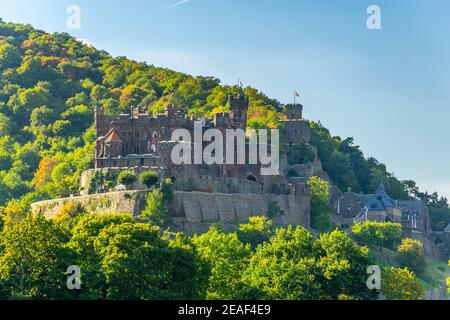 Burg Reichenstein mit Blick auf das Rheintal in Deutschland Stockfoto