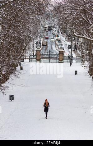 Glasgow, Schottland, Großbritannien. 9th. Februar 2021. UK Wetter: Ein Mädchen, das nach heftigem Schneefall von Storm Darcy auf einem von Bäumen gesäumten Pfad im Queen's Park spazierengeht. Kredit: Skully/Alamy Live Nachrichten Stockfoto