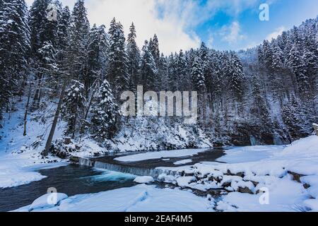 Die wunderschöne Winterlandschaft mit verschneiten Tannen und Fluss Stockfoto