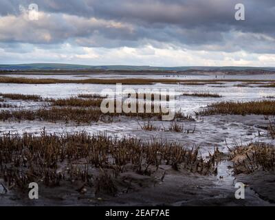 Winter Abend Blick auf die Skern Gegend von Northam Burrows, in der Nähe von Appledore, North Devon. Stockfoto