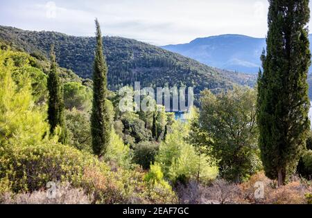 Bewaldete Hügel des westlichen Ithaka mit Zypressen, Aleppo-Kiefern und Wacholderbäumen inmitten einer gemischten mediterranen Macchia - Ionische Inseln Griechenland Stockfoto