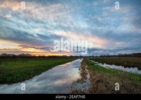 Eine Szene von Winterfluten auf den Somerset Levels in Großbritannien in der Abenddämmerung Stockfoto