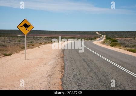 Straße in der Nähe der Shark Bay in South Western Australia mit Warnschild für Känguru