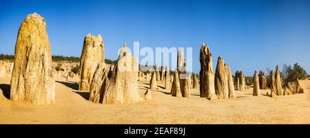 Die Pinnacles Wüste im Nambung Nationalpark bei Cervantes in Westaustralien Stockfoto