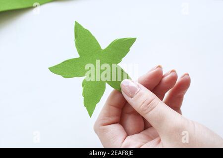 Schritt-für-Schritt Masterclass Workshop, Bastelführer, Draufsicht auf die Herstellung von Haarschmuck mit künstlichen Rosenblumen aus Schaum, EVA schwammiges Material, Schaum Stockfoto