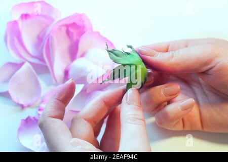 Schritt-für-Schritt Masterclass Workshop, Bastelführer, Draufsicht auf die Herstellung von Haarschmuck mit künstlichen Rosenblumen aus Schaum, EVA schwammiges Material, Schaum Stockfoto