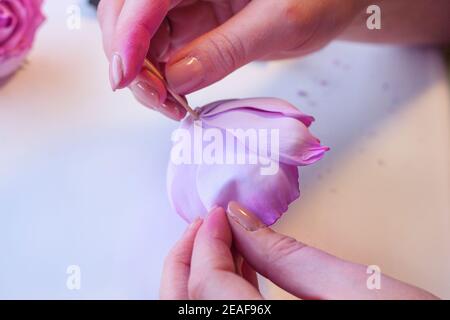 Schritt-für-Schritt Masterclass Workshop, Bastelführer, Draufsicht auf die Herstellung von Haarschmuck mit künstlichen Rosenblumen aus Schaum, EVA schwammiges Material, Schaum Stockfoto