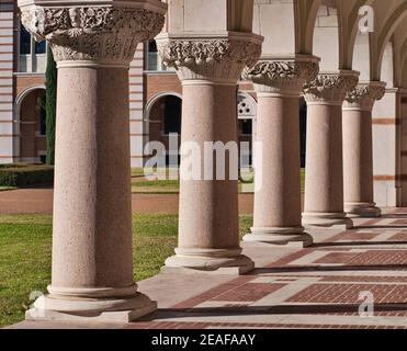 Säulen in Lovett Hall an der Rice University, Houston, Texas, USA Stockfoto