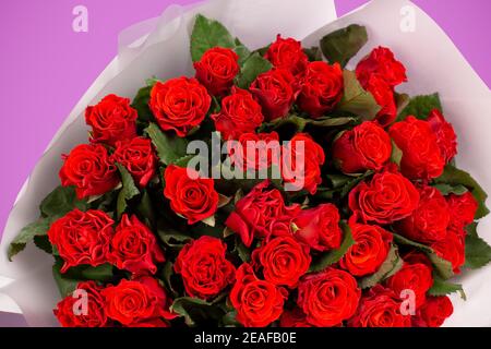 Rote Rosen in einem riesigen schönen Bouquet Stockfoto