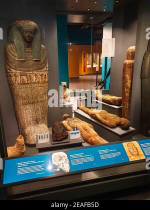 Alte Ägypten-Sammlung, historische Artefakte im World Museum, Liverpool, England Stockfoto